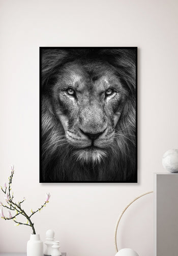 Poster - King