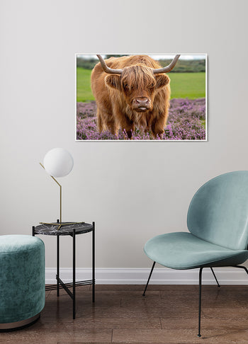 Poster - Ferdinand
