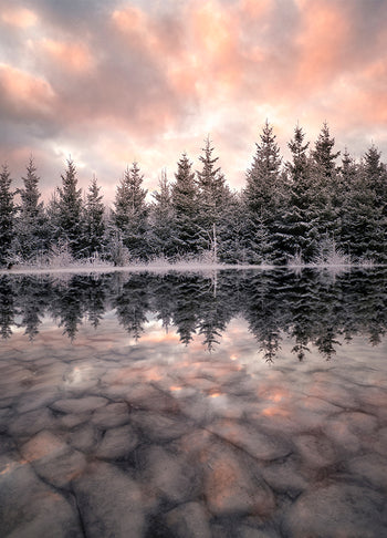 Poster - Wintry