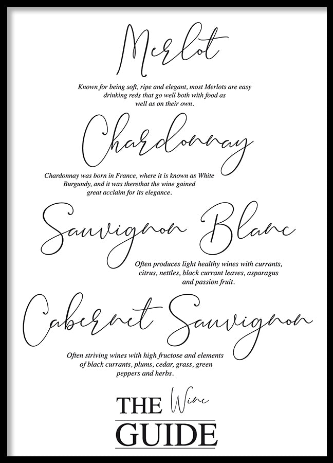 Poster - The wine guide