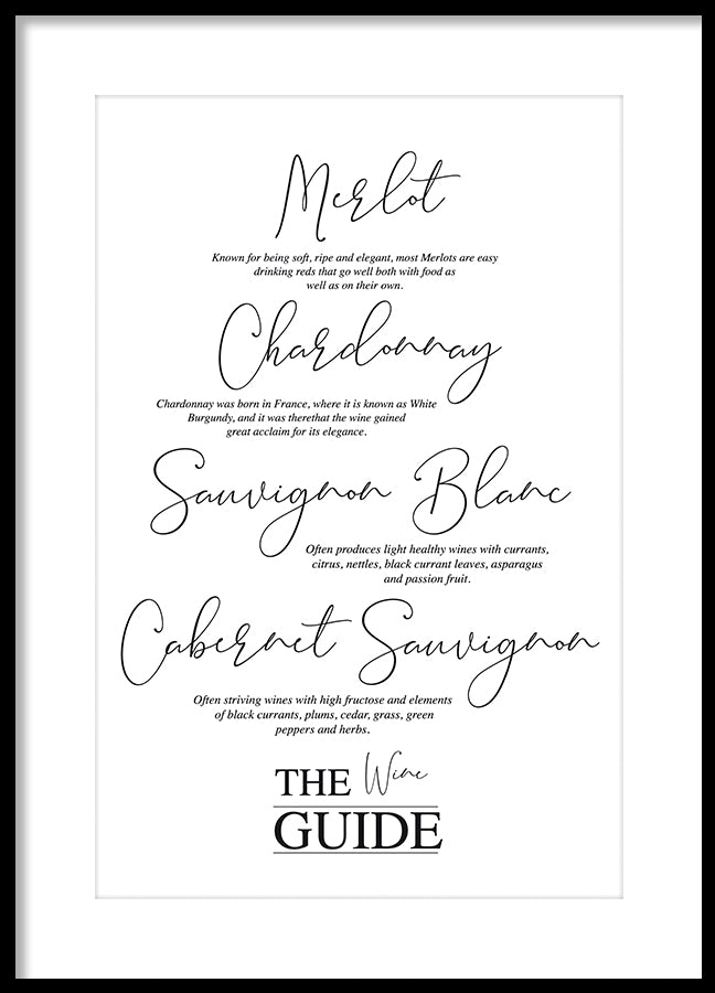 Poster - The wine guide