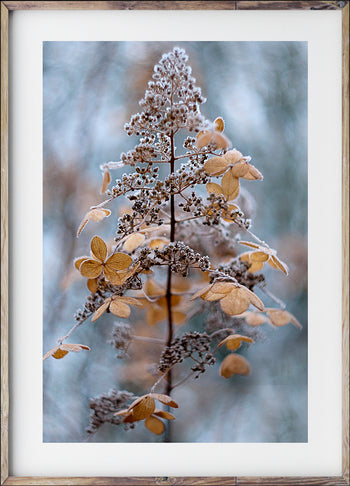 Poster - L'automne