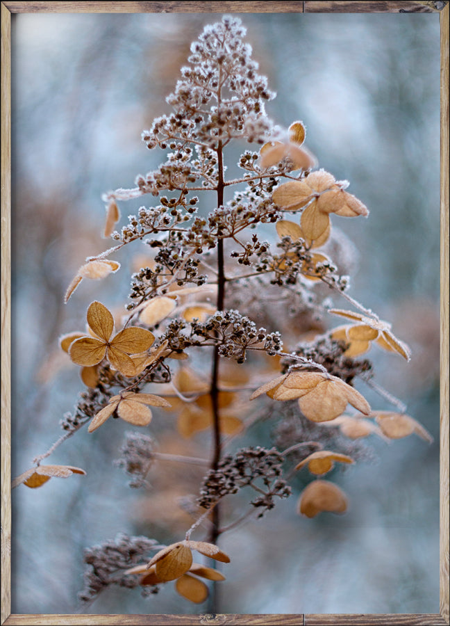Poster - L'automne