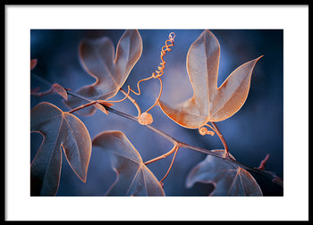 Poster - Folium