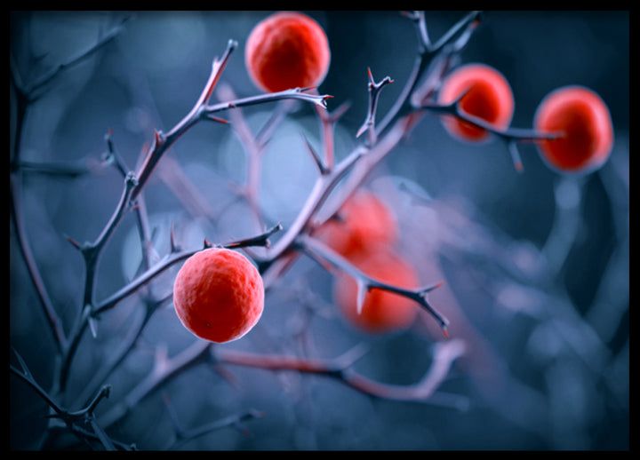Poster - Magical berries
