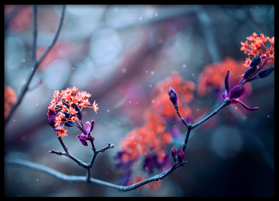 Poster - Bloom
