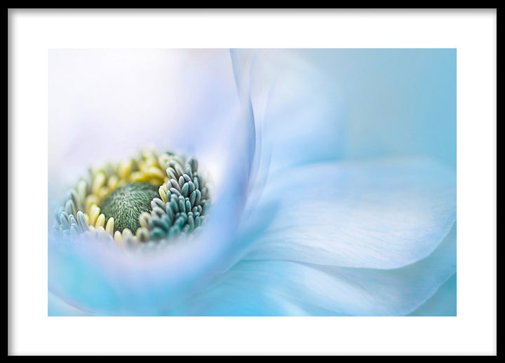 Poster - Lovely blossom
