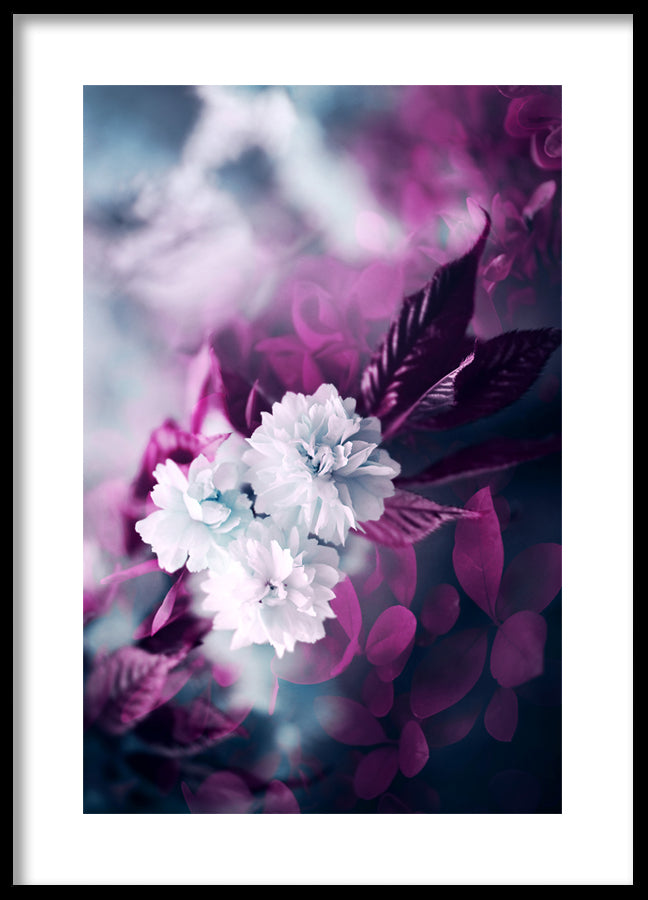 Poster - Purple and white