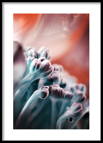 Poster - Redness