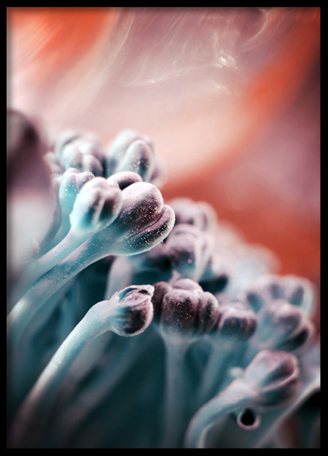 Poster - Redness