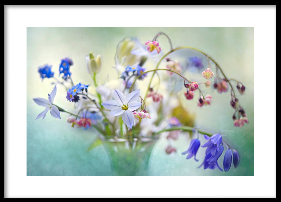 Poster - Wild flowers