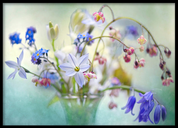 Poster - Wild flowers