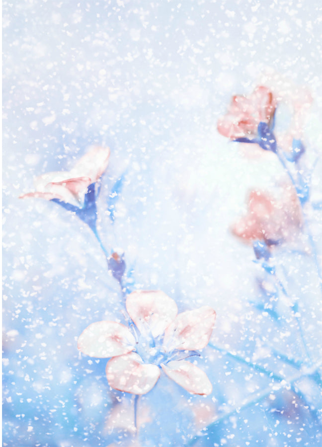 Poster - Snowflake
