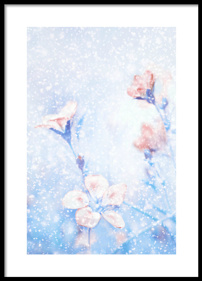 Poster - Snowflake