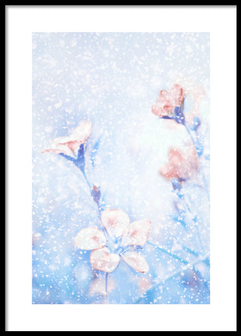 Poster - Snowflake