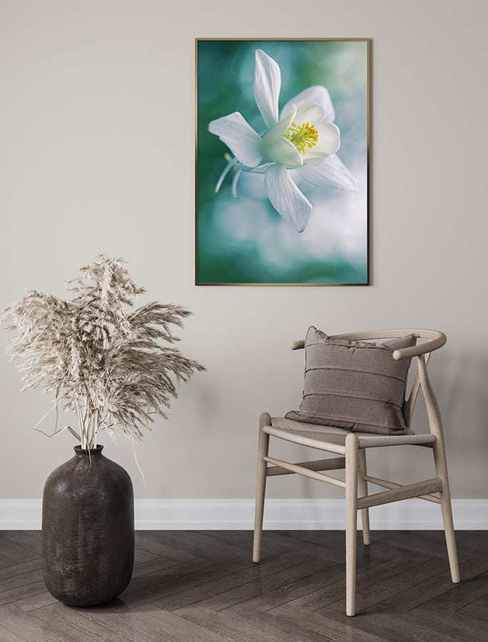 Poster - Quietly