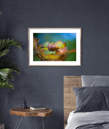 Poster - Hazelnut