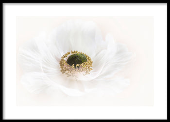 Poster - Blanch