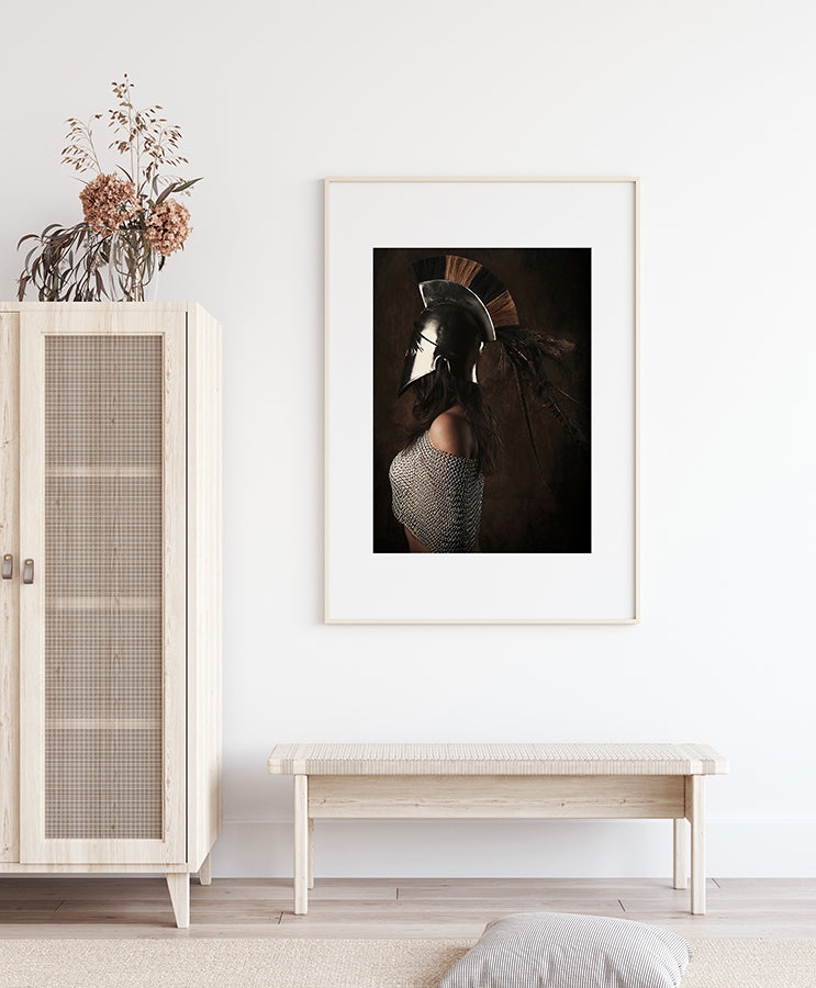 Poster - Lady knight