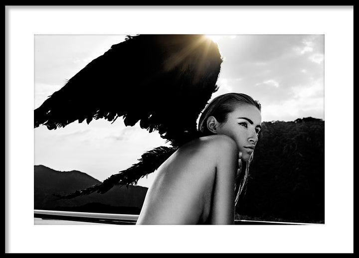 Poster - Dark Wings