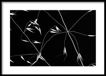 Poster - Grass