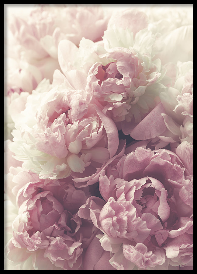 Poster - Flora