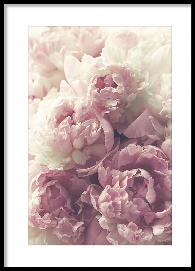 Poster - Flora