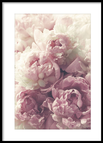 Poster - Flora