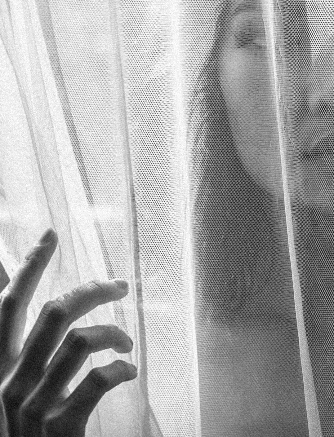 Tavla - Veil