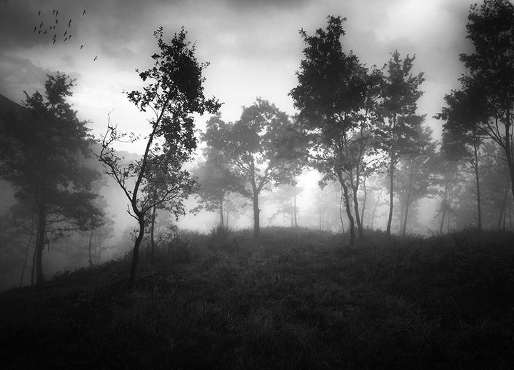 Poster - Ethereal Moody Moments