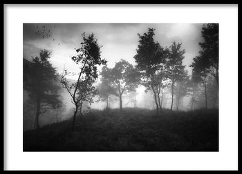 Poster - Ethereal Moody Moments