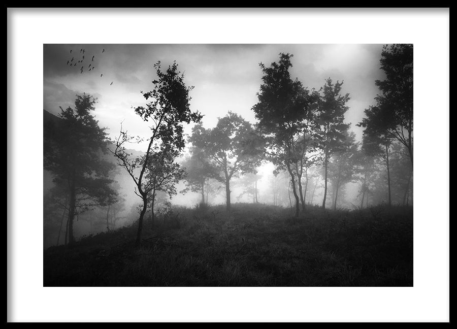 Poster - Ethereal Moody Moments