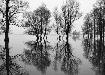 Poster - Flood