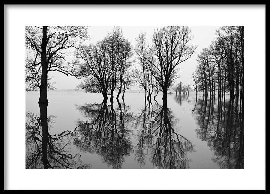 Poster - Flood