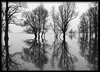 Poster - Flood