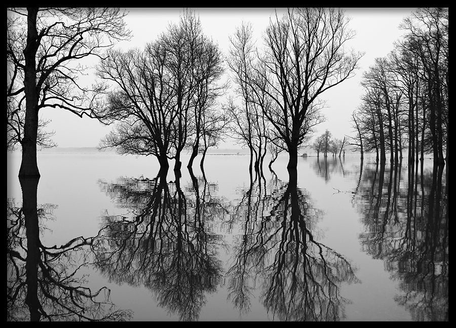 Poster - Flood