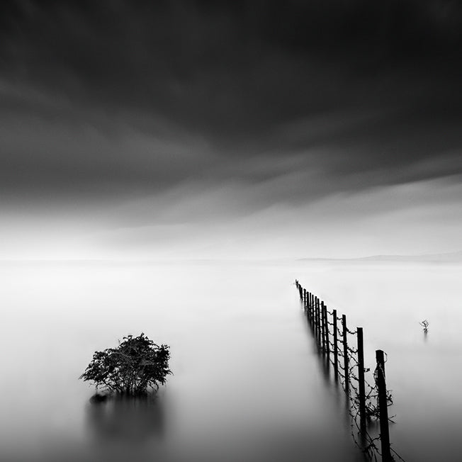Poster - Fence in the Lake