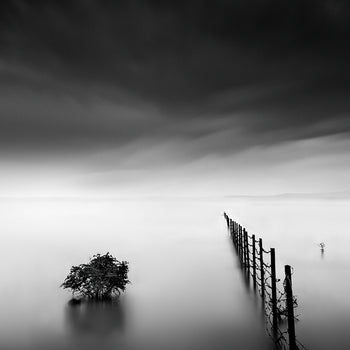 Poster - Fence in the Lake