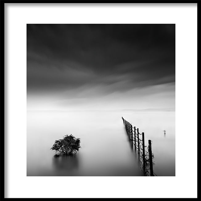 Poster - Fence in the Lake