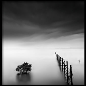 Poster - Fence in the Lake