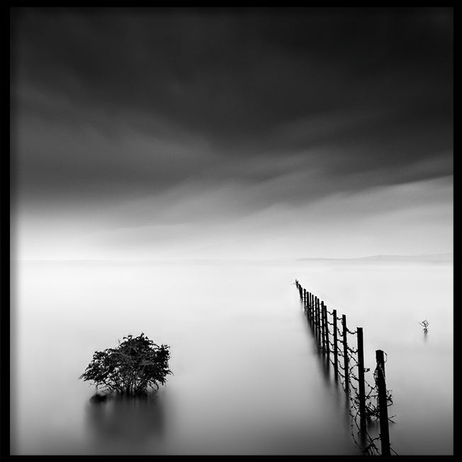 Poster - Fence in the Lake