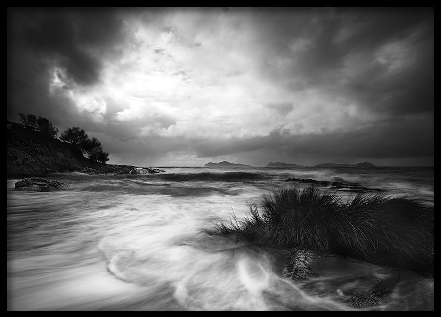 Poster - Rushes in the sea