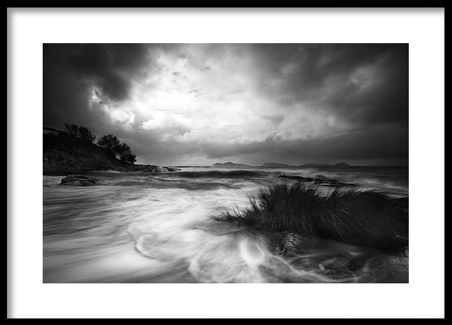 Poster - Rushes in the sea