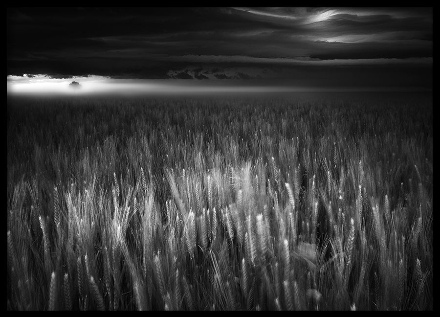 Poster - Between Earth & Sky