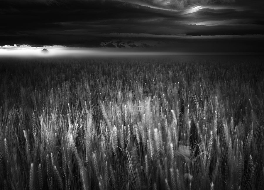 Poster - Between Earth & Sky