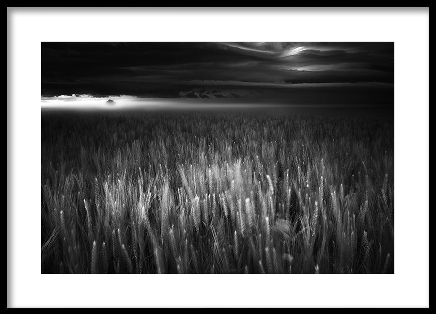 Poster - Between Earth & Sky