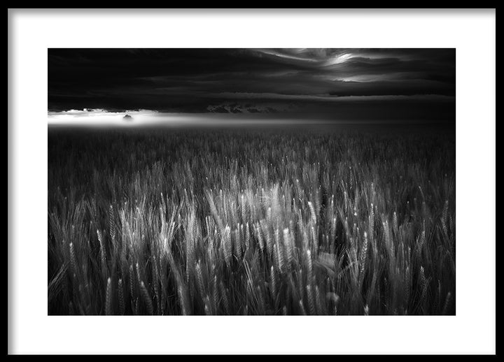 Poster - Between Earth & Sky