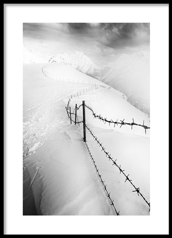 Poster - Into the White