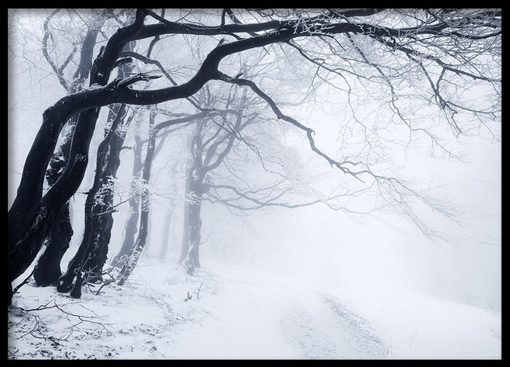 Poster - In The Winter Forest