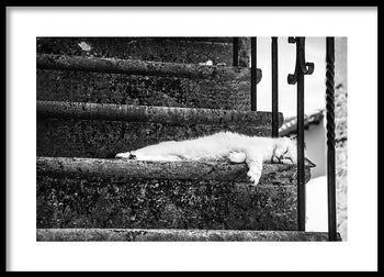 Poster - Slow Life